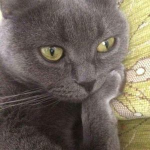 Meet your Posher, Cindy